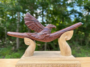 Eagle Águila 🦅 Tepi