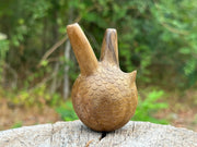 Owl head Kuripe