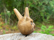 Owl head Kuripe