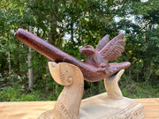 Eagle Águila 🦅 Tepi