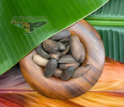 PIXURI Hapé - Puyanawa Tribe