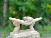 Kambo Frog Tepi
