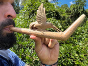 Hummingbird Tepi