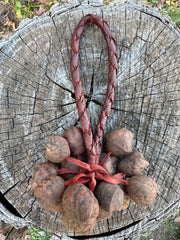 Colombian Pala Seed  Wrist Shaker