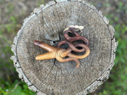 Coiled Snake Kuripe (self applicator for hapé/rapé snuff)