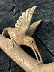 Hummingbird Tepi