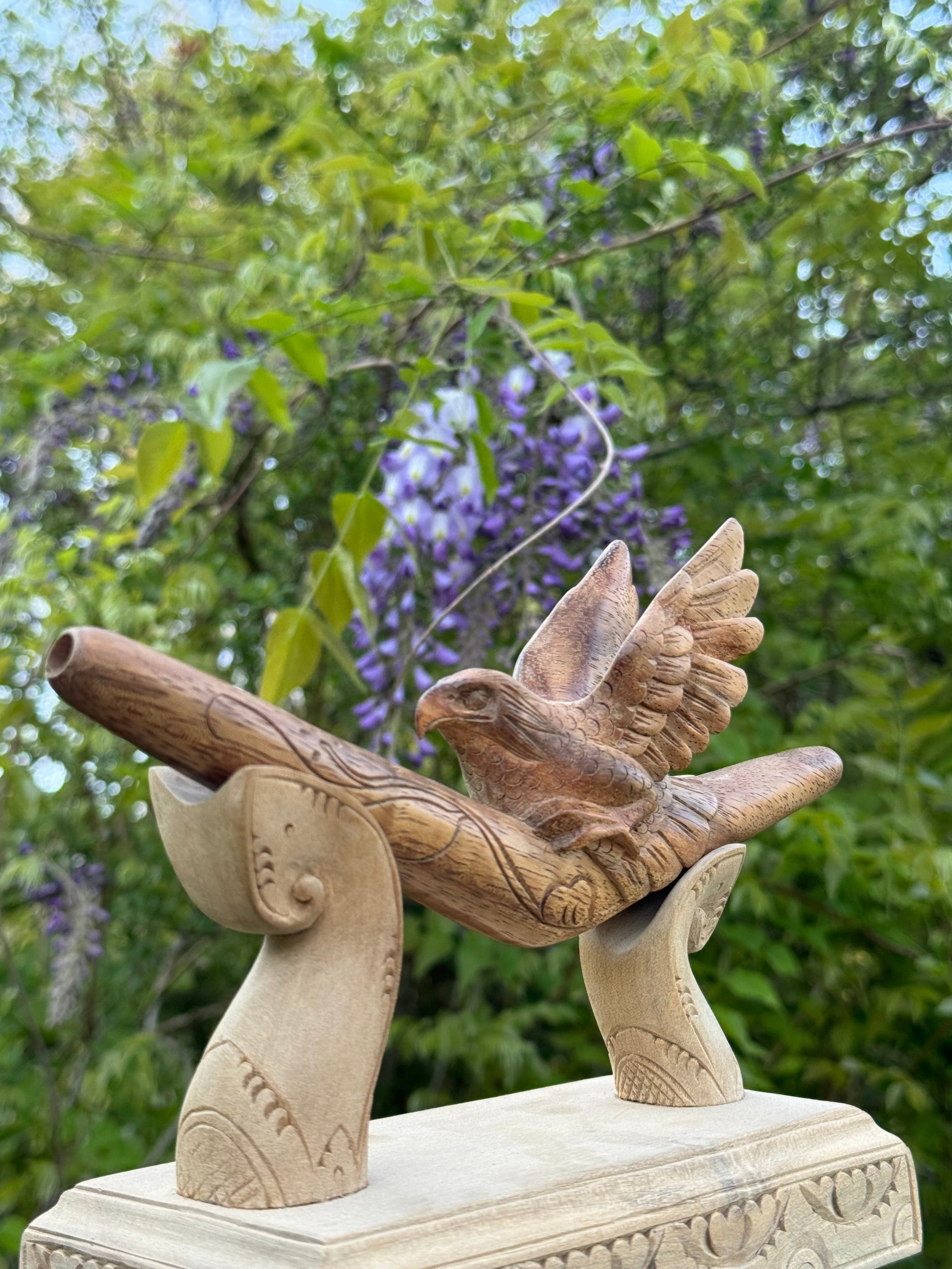 Eagle Águila 🦅 Tepi