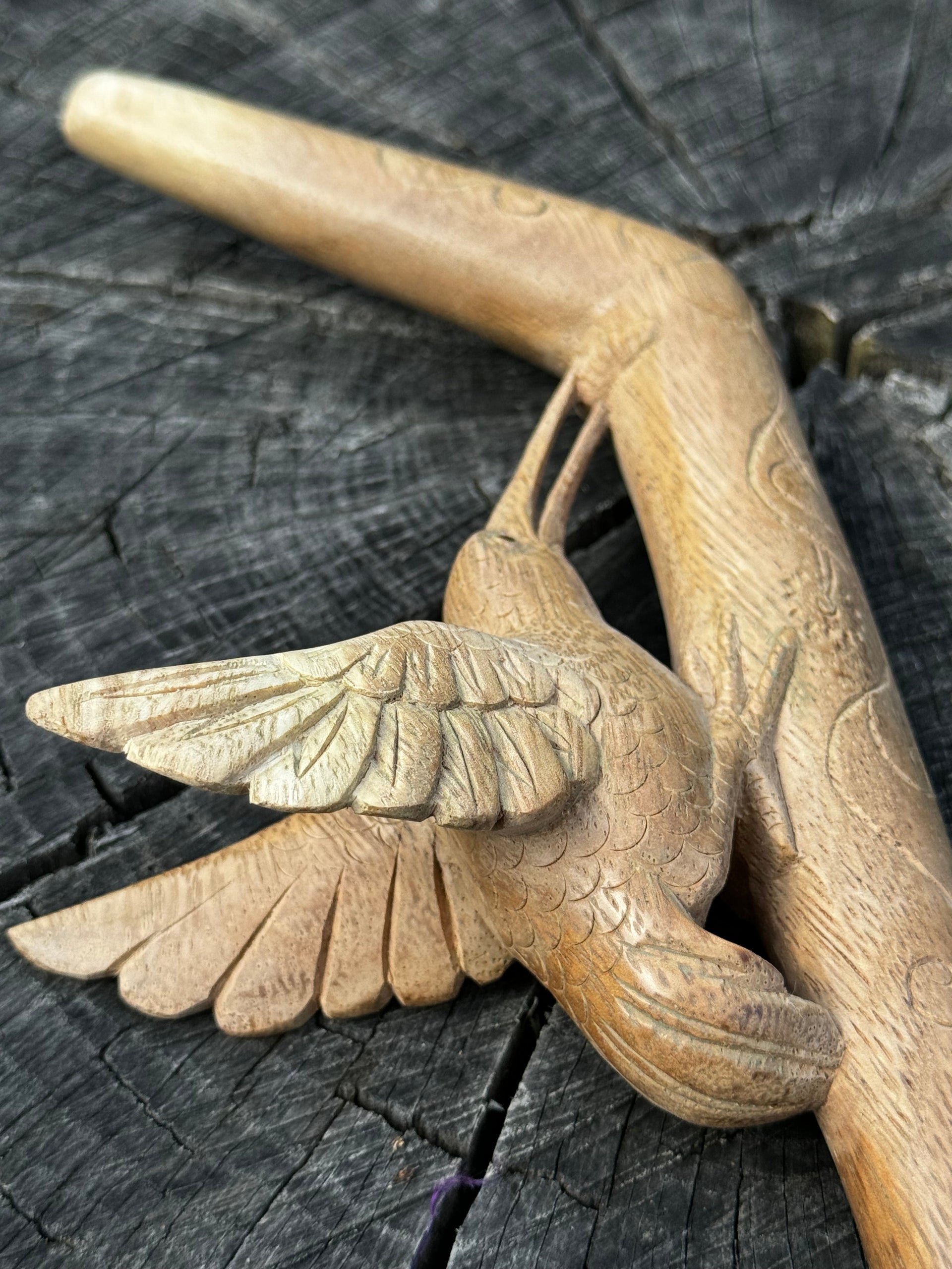 Hummingbird Tepi