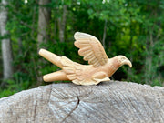 Eagle Águila 🦅 kuripe
