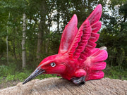 Hummingbird Kuripe