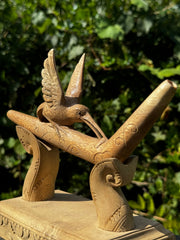 Hummingbird Tepi