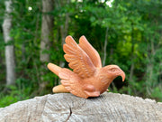 Eagle Águila 🦅 kuripe