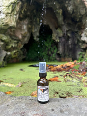72 Plantas: energy cleansing spray