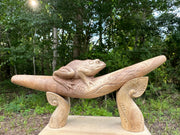 Kambo Frog Tepi