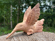 Hummingbird Kuripe