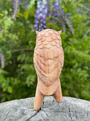 Owl perched Kuripe