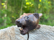 Jaguar Kuripe