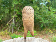 Owl perched Kuripe