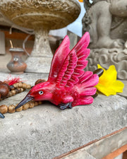 Hummingbird Kuripe