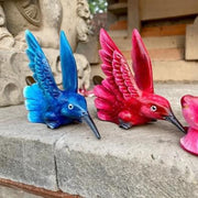 Hummingbird Kuripe