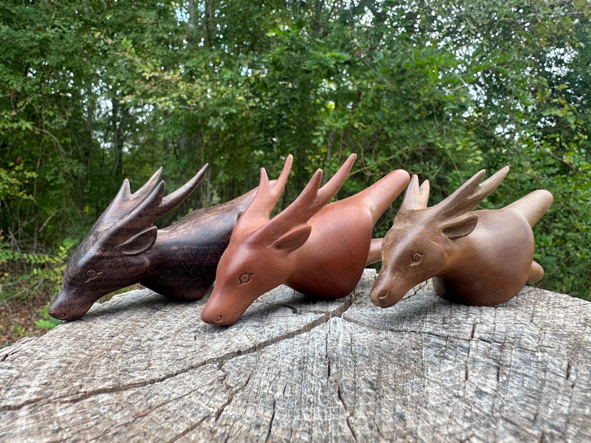 Deer kuripe (self applicator for hapé/rapé snuff)