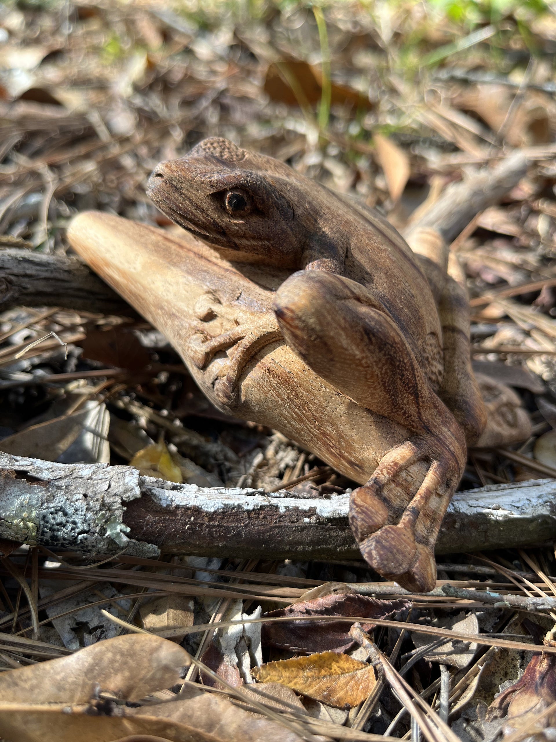 Kambo Frog Kuripe