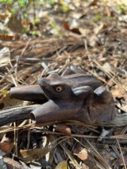 Kambo Frog Kuripe