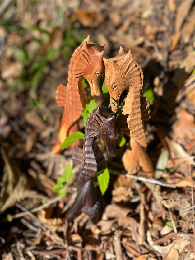 Seahorse Kuripe