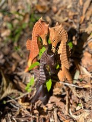 Seahorse Kuripe