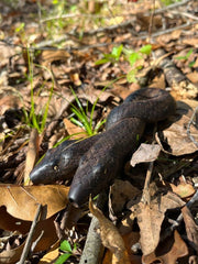 Double headed Snake Kuripe (self applicator for hapé/rapé snuff)