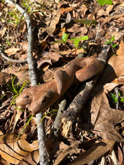 Double headed Snake Kuripe (self applicator for hapé/rapé snuff)