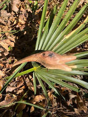 Hummingbird Head Kuripe