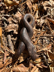 Infiniti Snake Kuripe