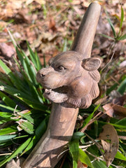 Jaguar Heads Tepi