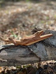 Crocodile Tepi