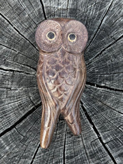 Owl perched Kuripe
