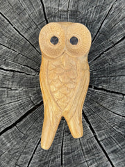 Owl perched Kuripe