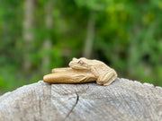Bufo Toad Kuripe (self applicator for hapé/rapé snuff)