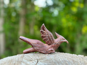 Phoenix Bird Kuripe
