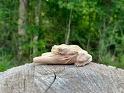 Bufo Toad Kuripe (self applicator for hapé/rapé snuff)