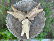 Bufo Toad Kuripe (self applicator for hapé/rapé snuff)