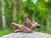 Phoenix Bird Kuripe
