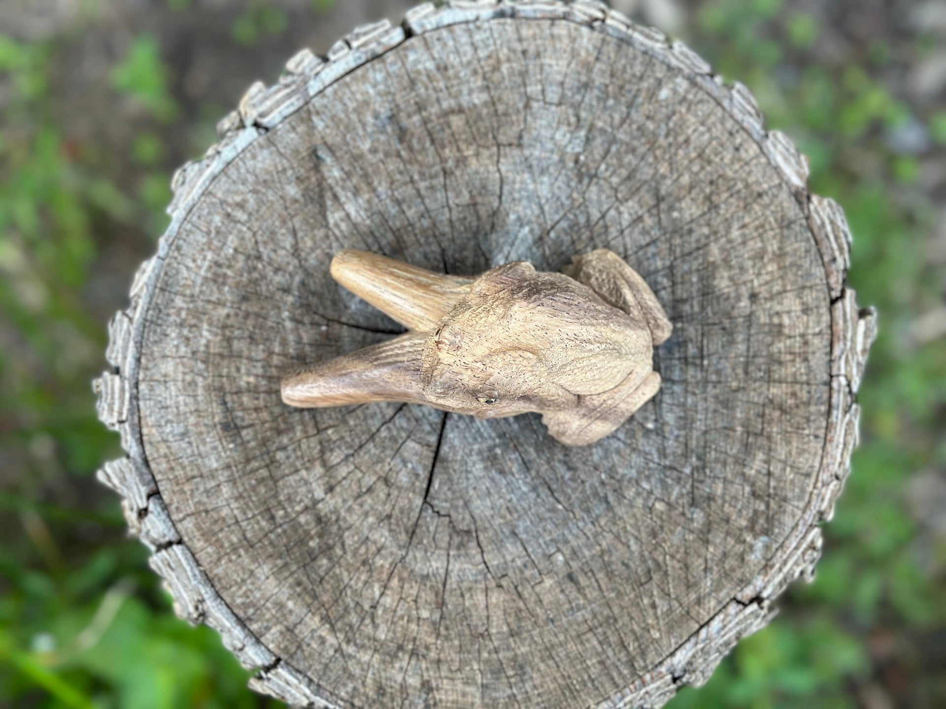 Bufo Toad Kuripe (self applicator for hapé/rapé snuff)