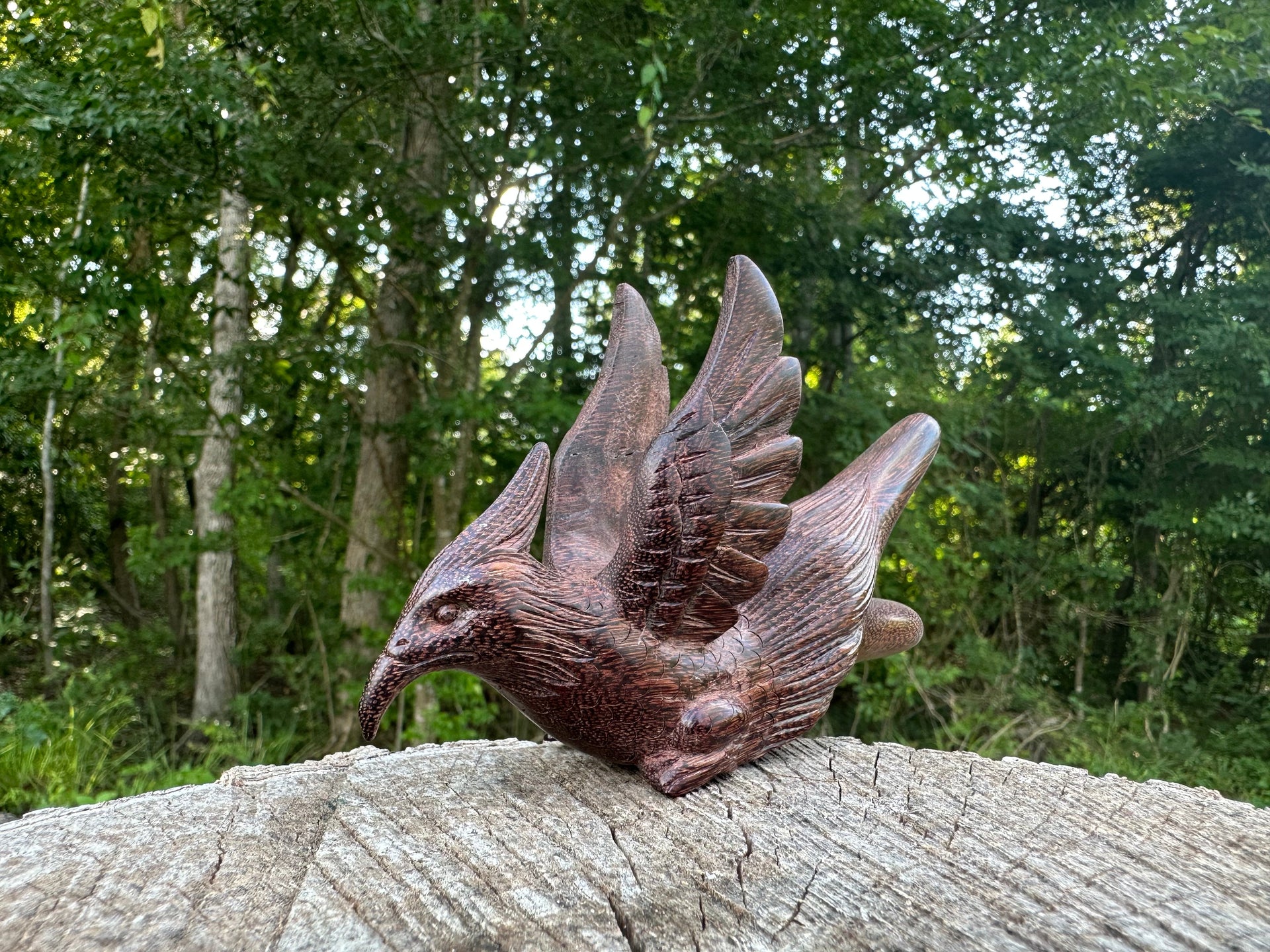 Phoenix Bird Kuripe