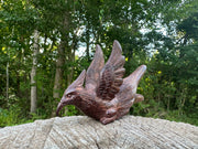Phoenix Bird Kuripe